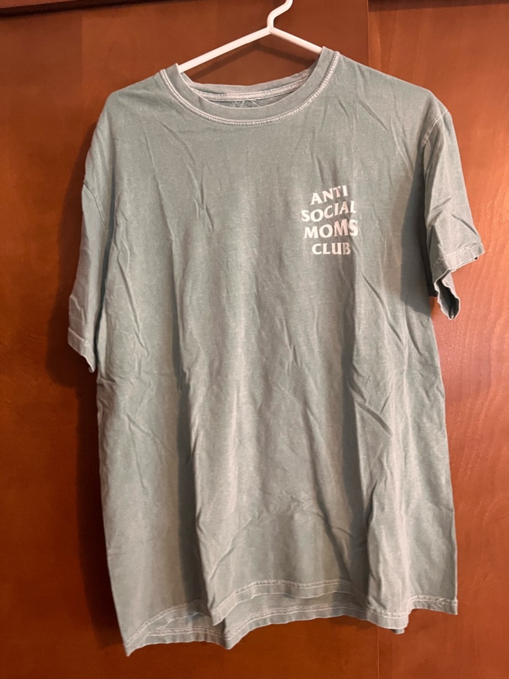 Women’s Sage Green Graphic Tee